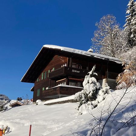Apartment Helene Apt Diana By Interhome Wengen Dış mekan fotoğraf