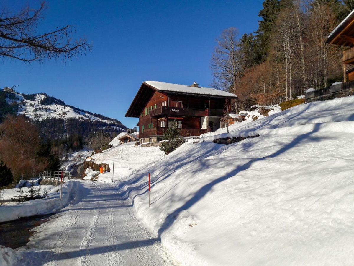 Apartment Helene Apt Diana By Interhome Wengen Dış mekan fotoğraf
