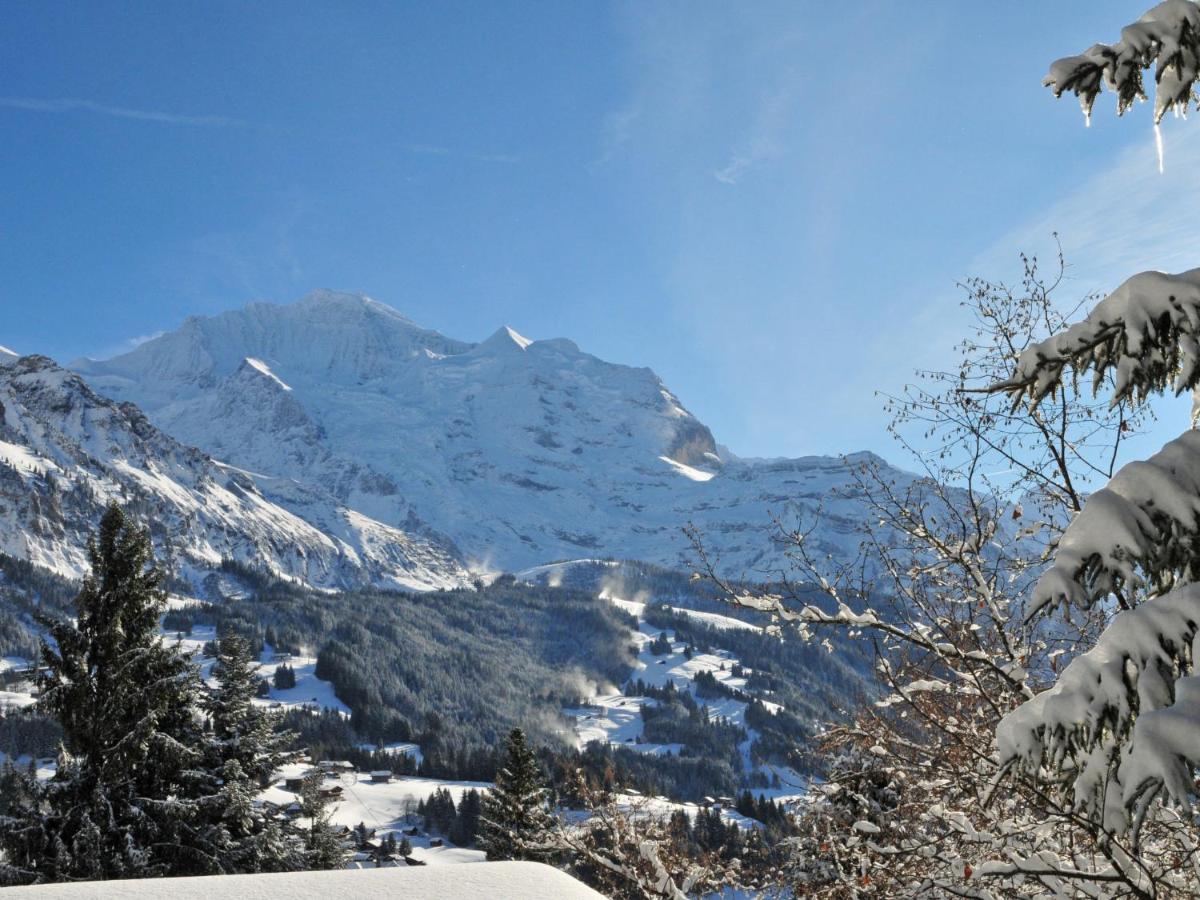 Apartment Helene Apt Diana By Interhome Wengen Dış mekan fotoğraf