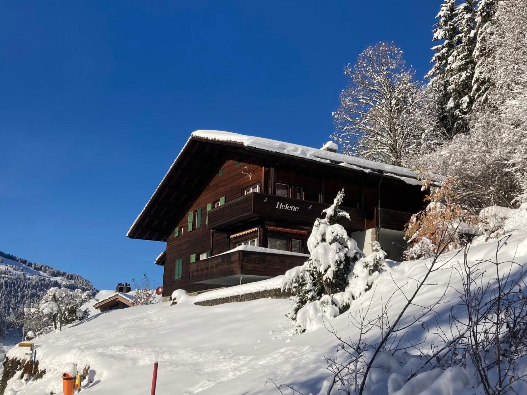 Apartment Helene Apt Diana By Interhome Wengen Dış mekan fotoğraf