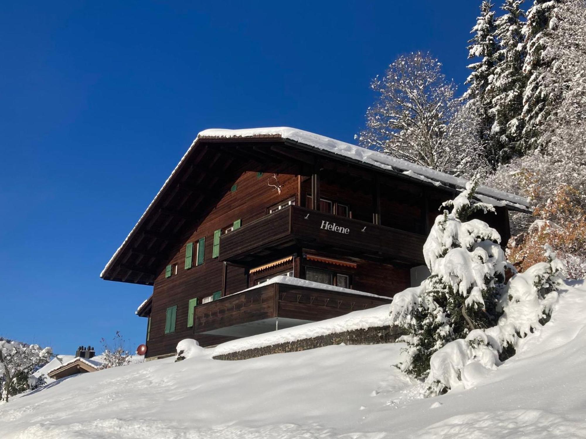 Apartment Helene Apt Diana By Interhome Wengen Dış mekan fotoğraf